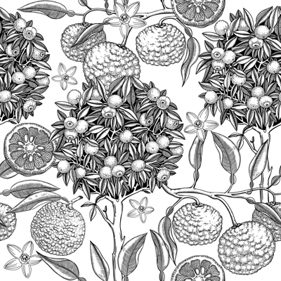 Hand-drawn yuzu tree background design. Vintage citrus branches, flowers, leaves whole fruit, cut half-piece sketches. Seamless healthy food pattern. Exotic plant illustration for print